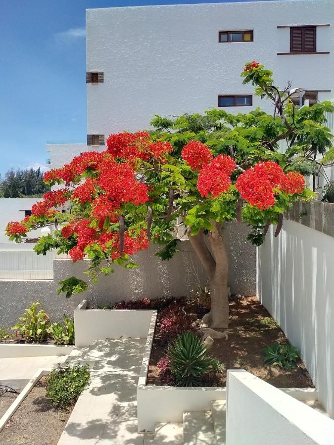 Bambu Apartment San Agustin  Exterior photo